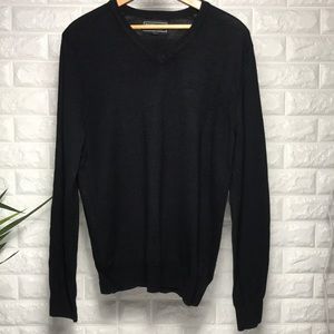 Express Italian merino wool v-neck sweater.
